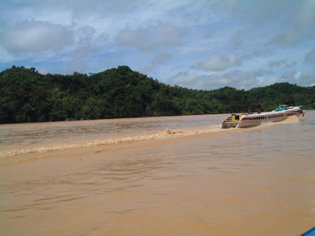 borneo053