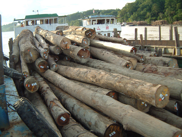 borneo058