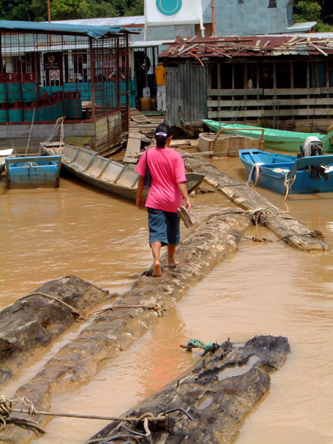 borneo059