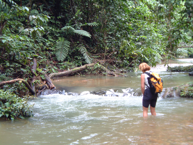 borneo066