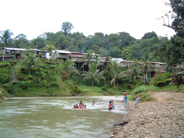 borneo068