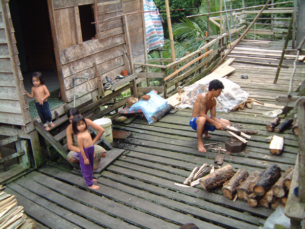 borneo072