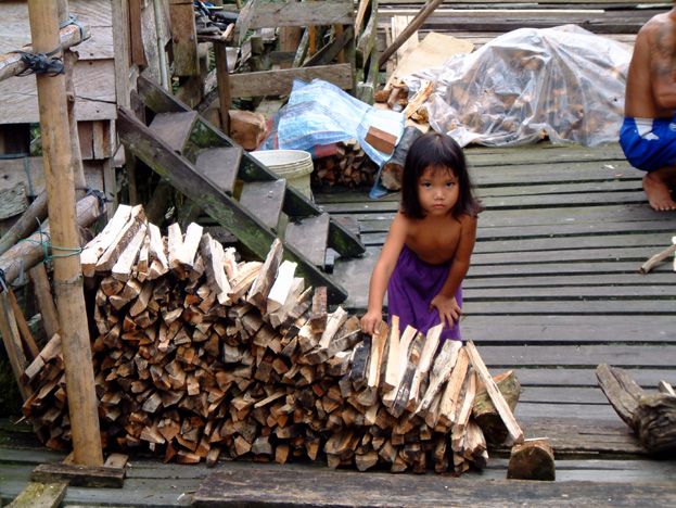 borneo073