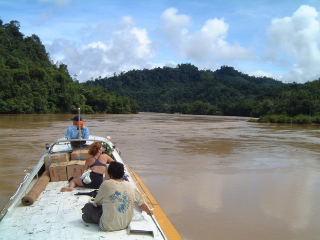 borneo082