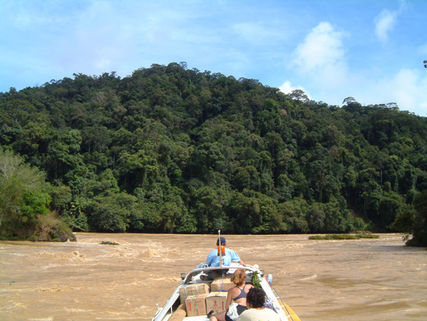 borneo083