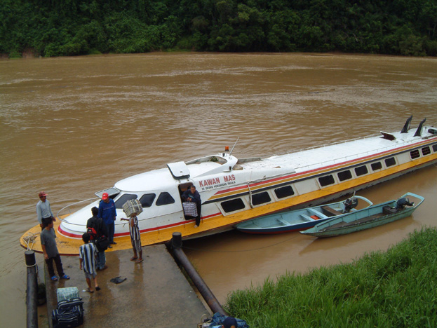 borneo085