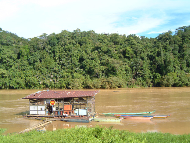 borneo086