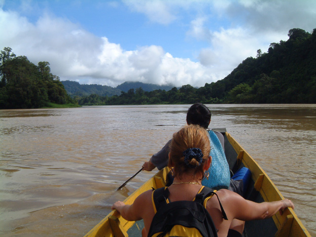 borneo087