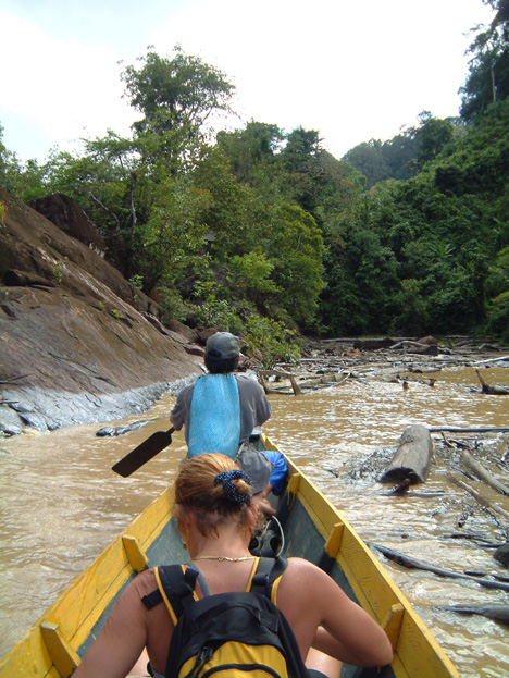borneo090