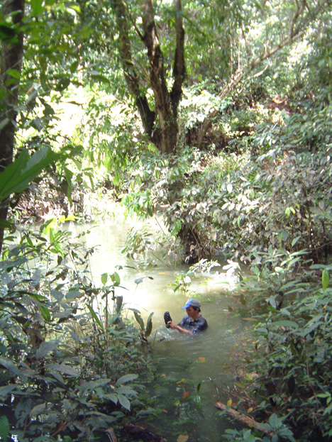borneo097