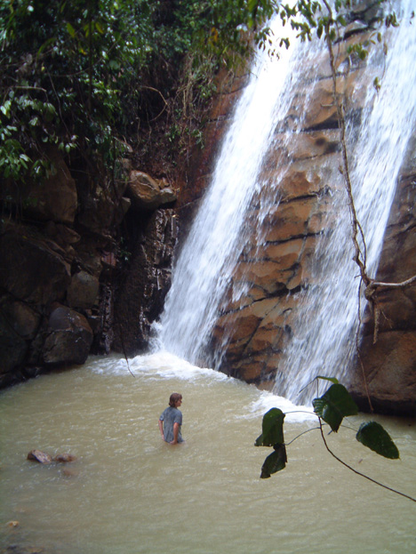 borneo098