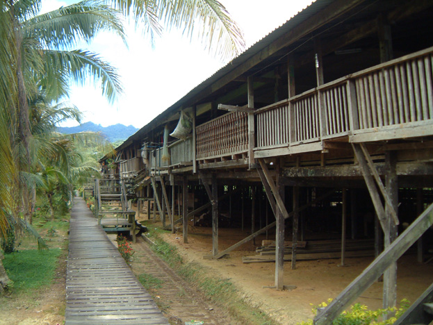 borneo103