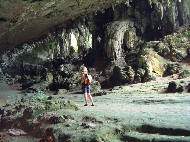 borneo124