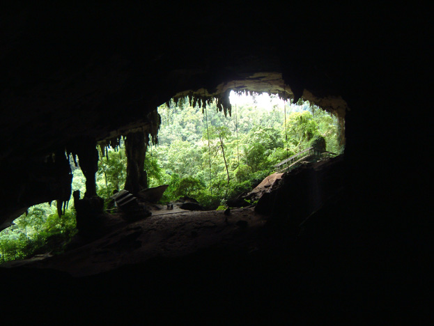borneo126