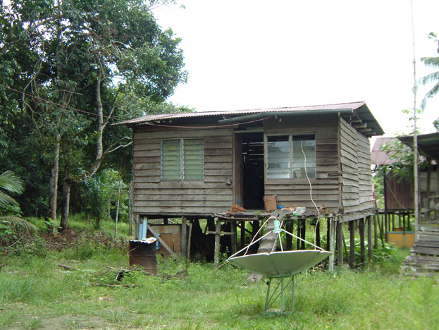 borneo130