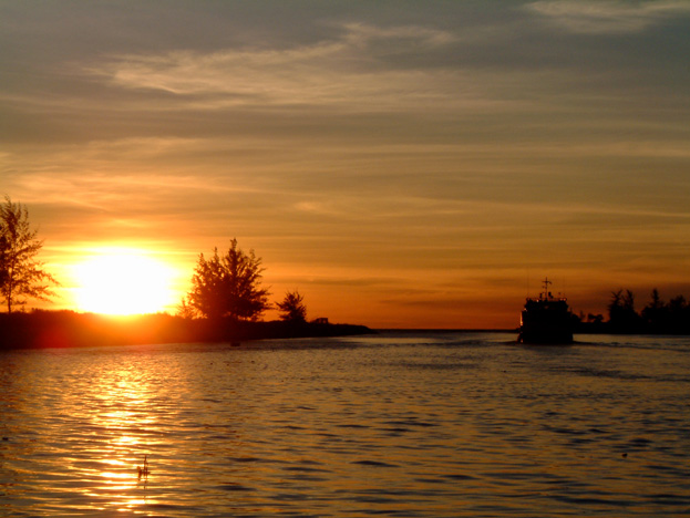 borneo136