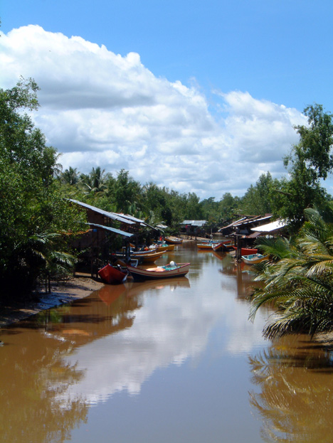 borneo140