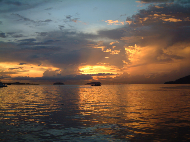 borneo149