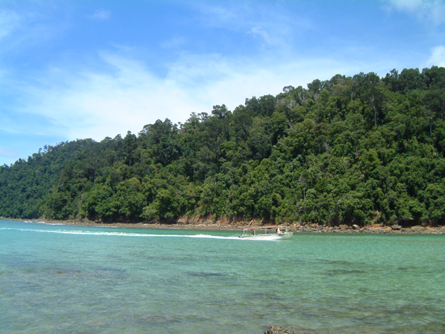 borneo153