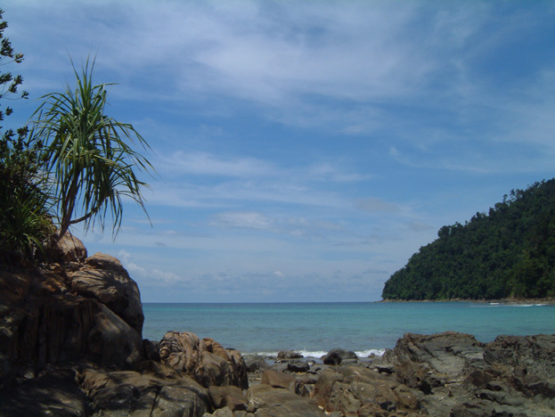 borneo154