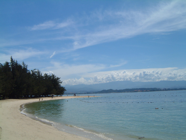 borneo155d
