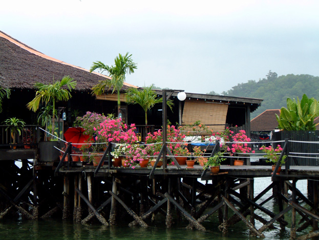 borneo161
