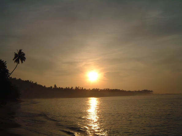 DSCF3104